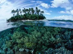 A captivating split-level shot showcases a lush tropical island above turquoise waters, revealing a vibrant coral reef teeming with marine life beneath the surface.