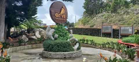 Medellín Cultural & Nightlife Experience (3 Days / 2 Nights) A large circular wooden sign with the text "Parque Arvi Corporación" stands prominently amidst lush greenery and sculptures in a park setting, with informative signs visible in the background.