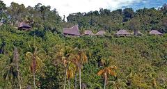 This landscape image features a lush green hillside dotted with traditional thatched-roof huts, partially obscured by dense trees and tall palm trees.
