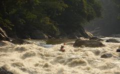 A kayaker navigates through a whitewater river with a red paddle, surrounded by rocks and lush green trees.