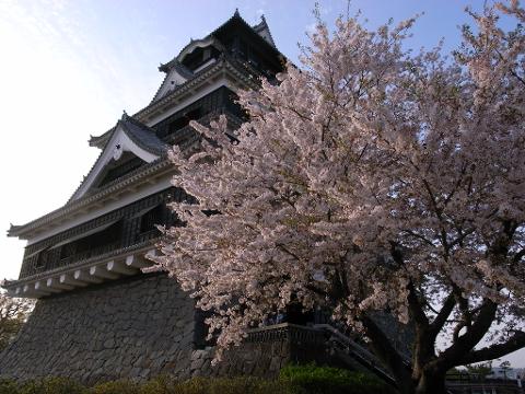 12-Day Ultimate Kyushu Heritage Discovery Tour