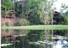 Three wooden bungalows stand on stilts along a grassy bank, reflected in the still, lily-pad-dotted water, surrounded by lush green trees.