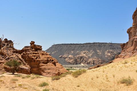 A striking desert landscape featuring red sandstone formations, sparse vegetation, and a distant dark mountain range under a clear blue sky.