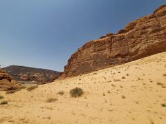 A rocky, tan desert landscape with sparse vegetation under a clear blue sky, showcasing layered rock formations and a distant mountain range.