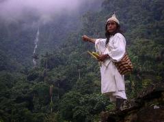 A man dressed in traditional clothing stands against a backdrop of lush, mountainous terrain, possibly of indigenous heritage.