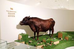 Kyoto Wagyu Experience – Tajima & Kobe Beef Heritage Private Tour Kyoto Wagyu Experience – Tajima & Kobe Beef Heritage Private Tour