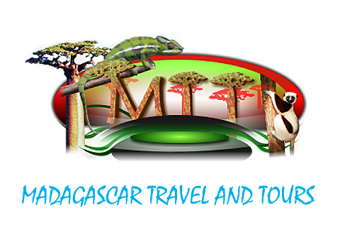 This is a logo for "Madagascar Travel and Tours," featuring chameleons, a lemur, baobab trees, and the company initials, all set against a colorful backdrop.