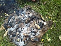 A smoldering fire pit with charred wood and ash sits on green grass, possibly used for cooking or warmth during the Goroka Show Festival in Papua New Guinea.