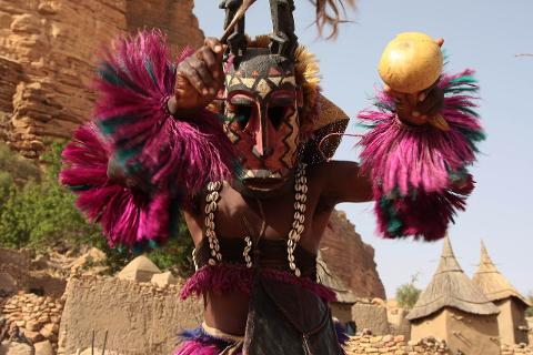 A Dogon dancer in Mali wearing a traditional mask and costume with pink and teal feathered arm bands and holding a gourd, performs in front of traditional mud buildings.