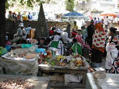 The Best of Mayotte Island: Half Day Heritage Discovery Tour