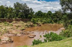 A wide shot of a muddy river flowing between lush green riverbanks under a cloudy sky.