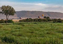 A scenic view of the Masai Mara with hot air balloons floating above the lush green plains and scattered trees, set against a backdrop of gently rolling hills.