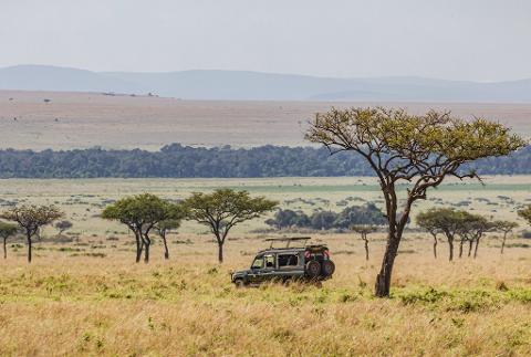 A safari vehicle is driving through a grassy savanna with scattered trees, with a distant forest and mountains in the background.