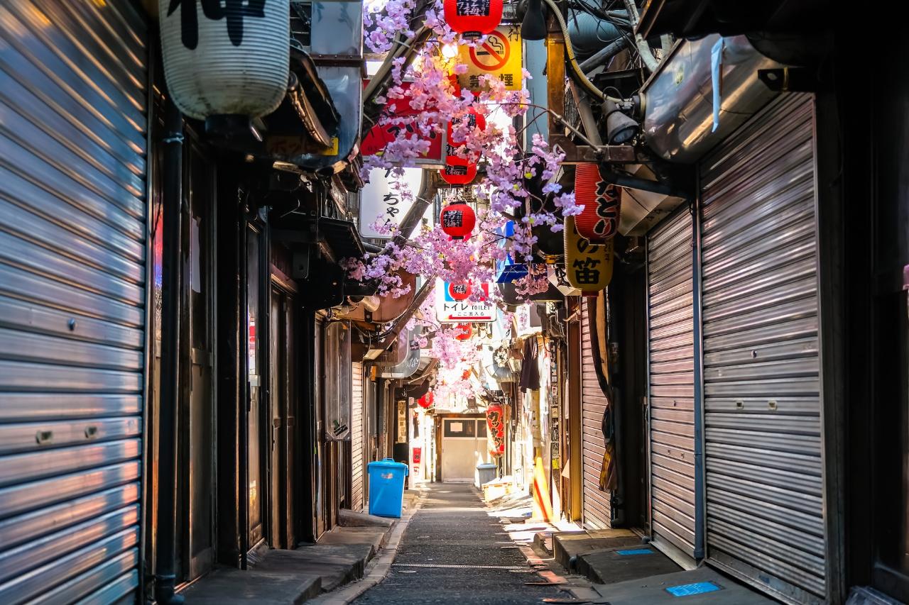 Showa Retro Street Night Hashigo Tour