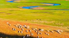 3-Day Hulunbuir Adventure: Winding Rivers, Reindeer Forests & Fairytale Border Town