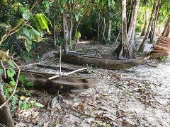 Two dugout canoes rest on a sandy shore amidst trees, leaves, and greenery, with a stack of bark visible in the background.