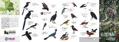 This image is an identification guide for birds and other animals found in the Nouabalé-Ndoki National Park, featuring illustrations and descriptions.