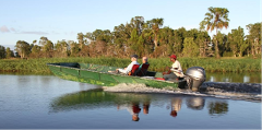 A motorboat with three people aboard speeds across a river or lake, with lush vegetation and trees in the background.