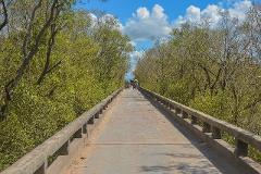 A long bridge stretches into the distance, lined with trees, under a blue sky dotted with fluffy clouds. Some rickshaws are on the bridge.