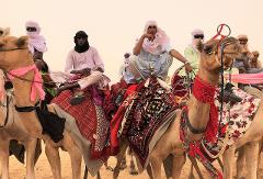 The Quest of the Tibesti Mountains A group of men dressed in traditional attire ride camels across a sandy desert landscape.