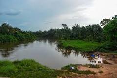 Here's a concise description of the image:A serene river winds through a lush green landscape under a cloudy sky, with dense vegetation lining its banks and reflecting on the water's surface.