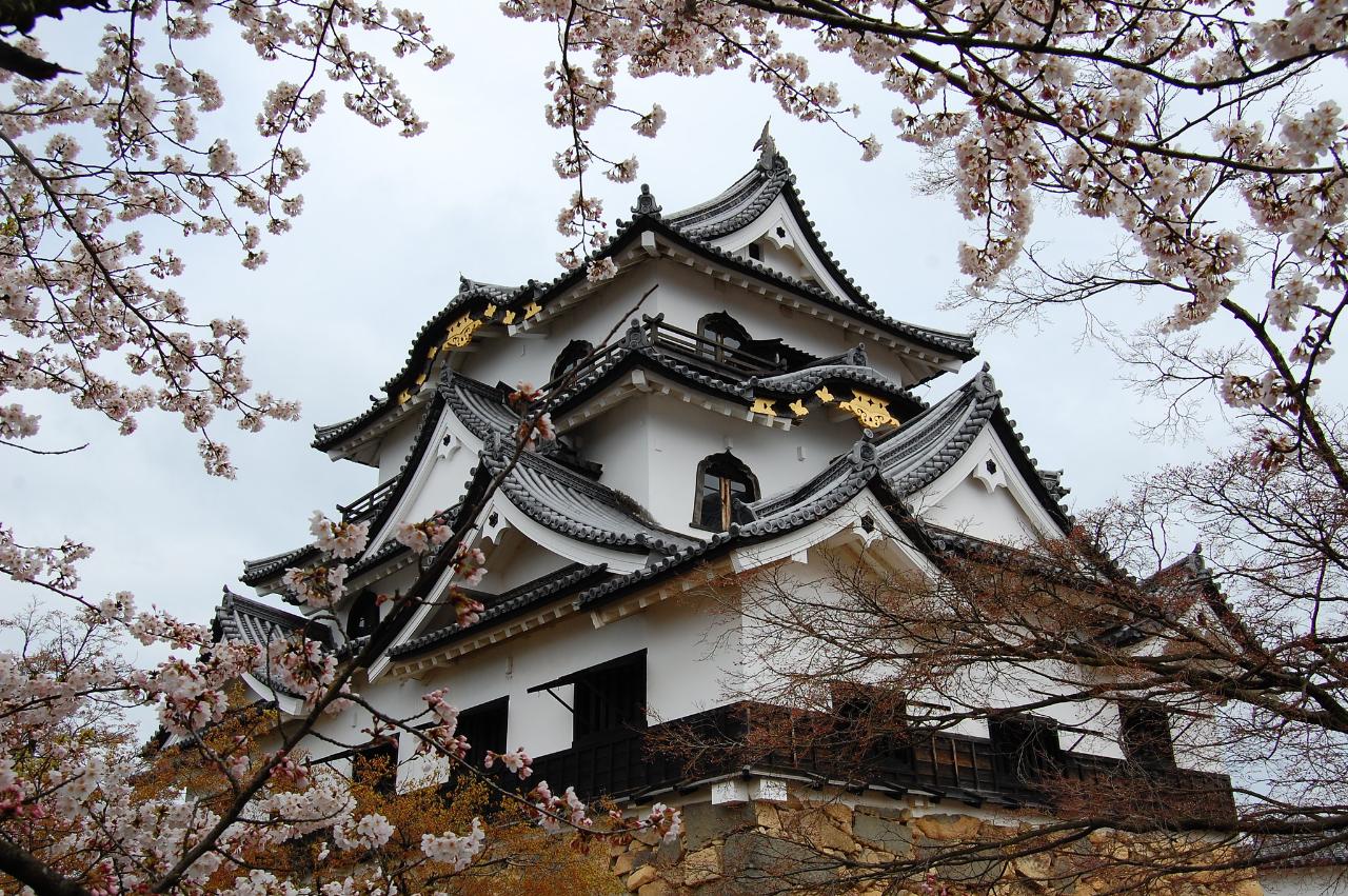 8-Day Ultimate Japan Cultural Highlights Tour of Kyoto, Nara, and Osaka