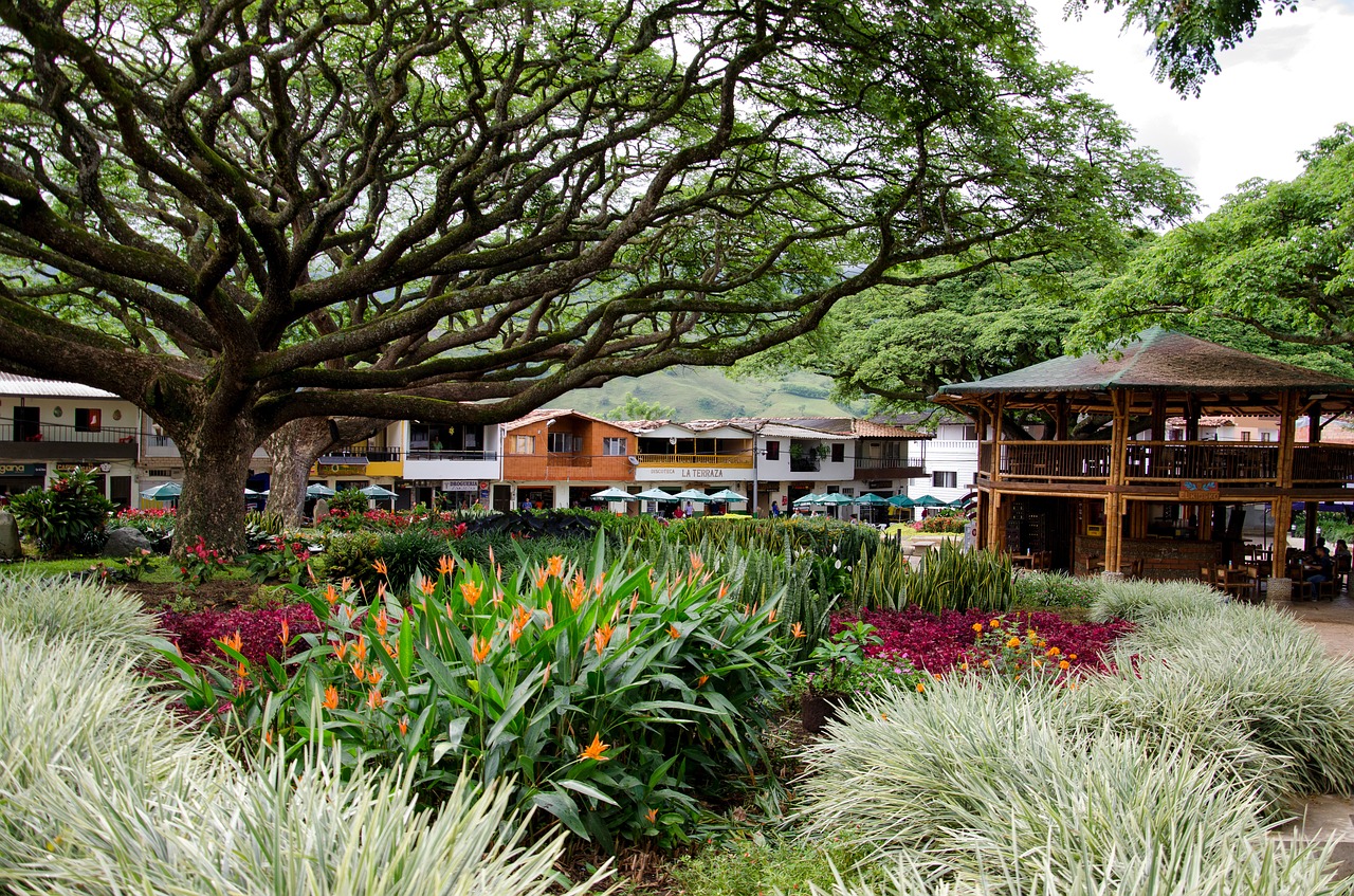 Gastronomic Tour in Medellin