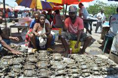 A large number of tied-up crabs are displayed at an outdoor market where people are seated around them under umbrellas.
