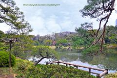 Tokyo & Kyoto Private Garden Tour: A Complete 6-Day Journey Through Japan's Most Beautiful Gardens A serene view of a tranquil lake in a Japanese garden, framed by lush greenery and picturesque trees, creating a peaceful and scenic landscape.