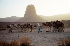 A group of camels with two people walking by them in a vast desert with mountains in the background.