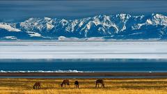 3-Day Ili Kazak Prefecture Tour: Blue Old Town, Heavenly Lake Sayram & Vast Nalati Grassland