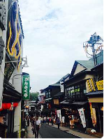Her er en beskrivelse af billedet på én sætning: Dette billede viser en smal gade i Japan omkranset af traditionelle butikker og bygninger, fyldt med mennesker under en delvist overskyet himmel.