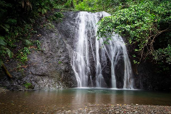 A long exposure photograph captures a waterfall cascading into a pool surrounded by lush greenery and rocks in a forest setting.