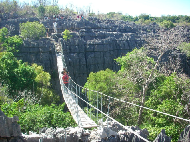 Baobab Avenue and Bemahara Tsingy (Tsingy de Bemahara) Tour (West) with Kirindy Forest Reserve - Tour Low Price Guaranteed and in Private SUV - NOT in Overloaded Unsafe Local Bush Bus 