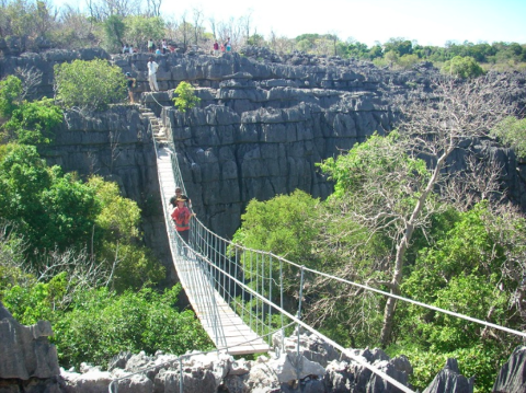 A suspension bridge stretches across a rocky chasm in Tsingy de Bemahara, with people crossing and greenery surrounding the stark rock formations.
