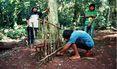 Three men in a forest are building or repairing a small fence made of sticks around a tree.