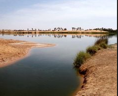 Here's a concise description of the image:A tranquil body of water reflects the sky and distant vegetation in a desert landscape.