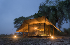 A tent, illuminated from within, sits outdoors at night, with soft light around and trees behind.