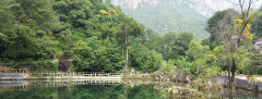 A serene lake reflecting the lush green trees and mountains under a cloudy sky creates a peaceful scenery.