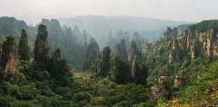 A panoramic view of tall, rocky pillars covered in lush green vegetation rising from a valley, shrouded in a misty atmosphere.