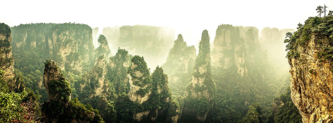 This is a panoramic shot of Zhangjiajie National Forest Park, featuring sandstone pillars covered in vegetation, shrouded in mist, creating a majestic and ethereal landscape.