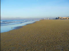 A serene beach scene with calm ocean waves washing onto a wide sandy shore under a clear blue sky, with buildings visible in the distance.