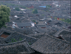 A vast expanse of grey tiled roofs dominates the scene, creating a textured landscape across a densely packed town, with trees peeking through the buildings.