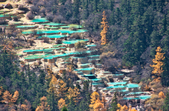 A scenic view of terraced turquoise ponds cascading down a hillside, surrounded by autumn-colored trees and lush greenery.