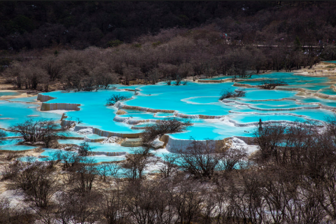 An aerial view of cascading turquoise pools of water surrounded by barren trees creates a stunning landscape.