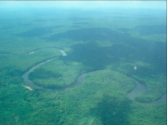 Salonga National Park Expedition From the Congo River: Deep Rainforests of DRC (Including Kinshasa, Malebo/Stanley Pool Cruise to Kinkole, and Bonobos Tours)