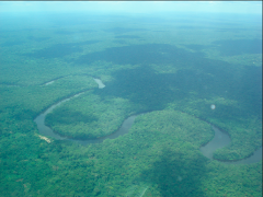 Salonga National Park Expedition From the Congo River