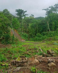 A lush, green landscape featuring a dirt road winding through a dense forest, with stacked rocks and cut logs in the foreground.