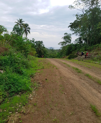 A dirt road leads through lush green vegetation toward a distant island under a cloudy sky.