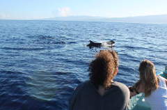 Comoros Islands: Anjouan Boat Trip and Snorkeling to the Salt Island with Dolphin Watching